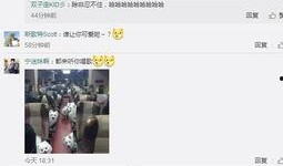 老岳爆料微博视频大全,揭秘娱乐圈幕后故事